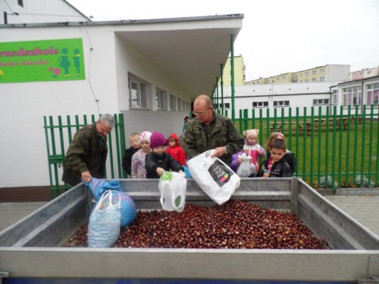 kasztanobranie-2013-14-02.jpg