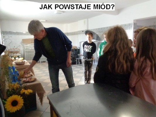 jak-powstaje-miod-01.jpg