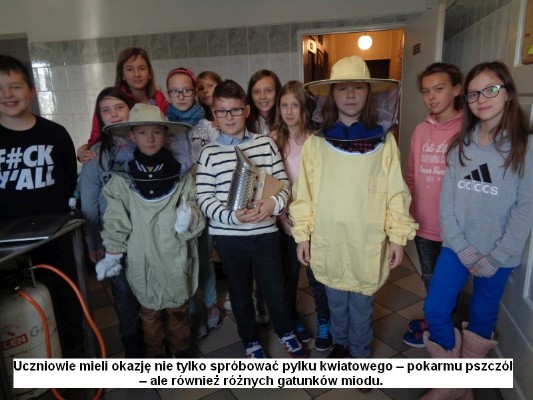 jak-powstaje-miod-04.jpg