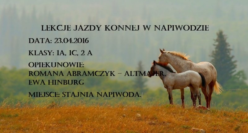 wizyta-w-stajni-Napiwoda-01