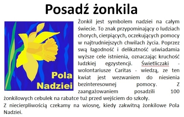 Posadz-zonkila-0.jpg